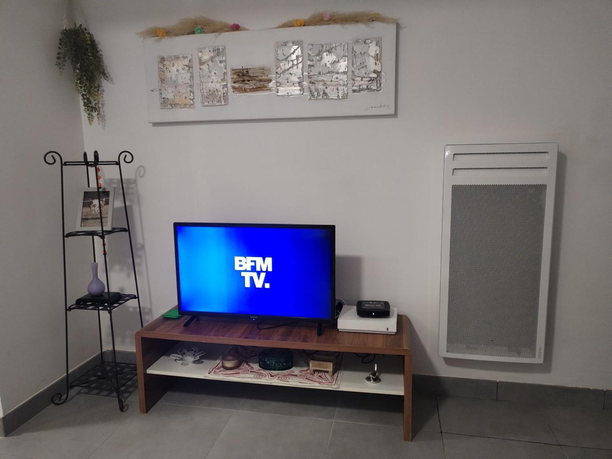 Magistic Handi Apartment Perpignan