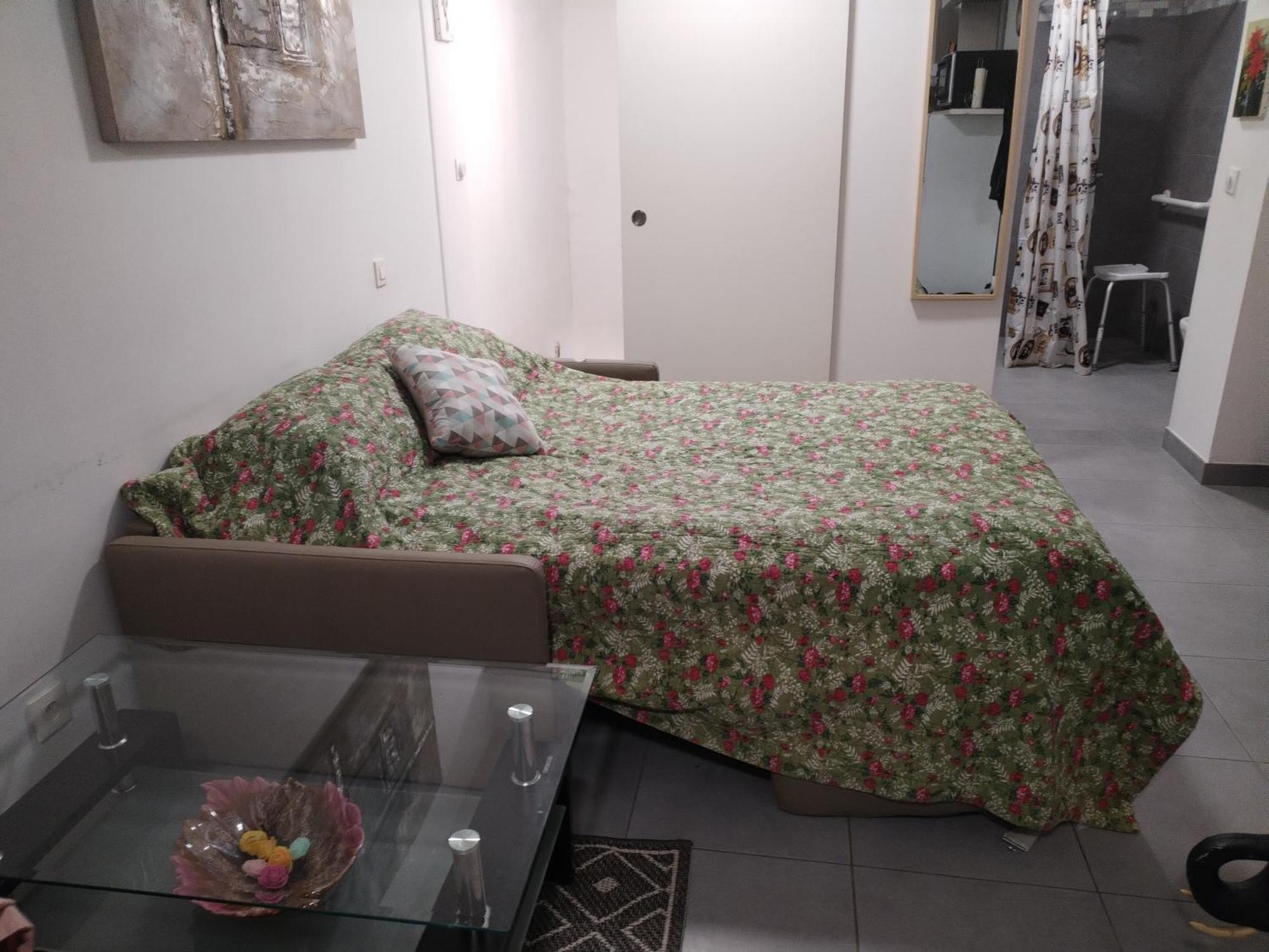 Magistic Handi Apartment Perpignan